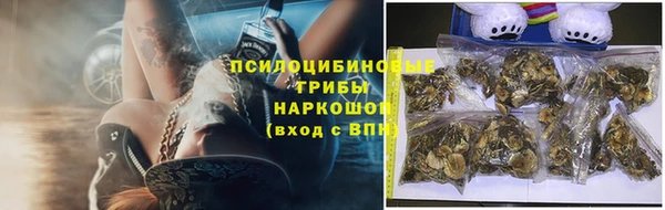 дживик Алексин