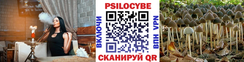 продажа наркотиков  Киселёвск  Галлюциногенные грибы мухоморы 